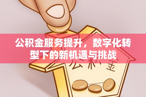 古田公积金服务提升，数字化转型下的新机遇与挑战