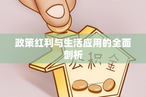 古田政策红利与生活应用的全面剖析