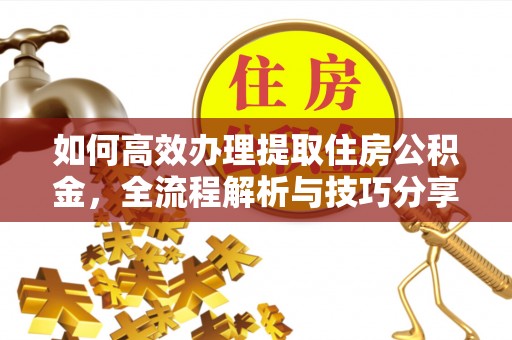 古田如何高效办理提取住房公积金，全流程解析与技巧分享